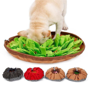 Chihuahua Sniffing Stress Release Mat