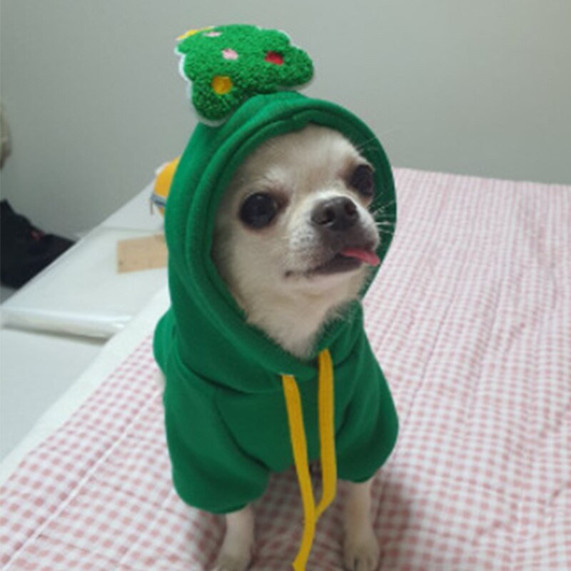 Funny Chihuahua Christmas Costumes