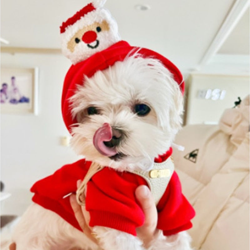 Funny Chihuahua Christmas Costumes