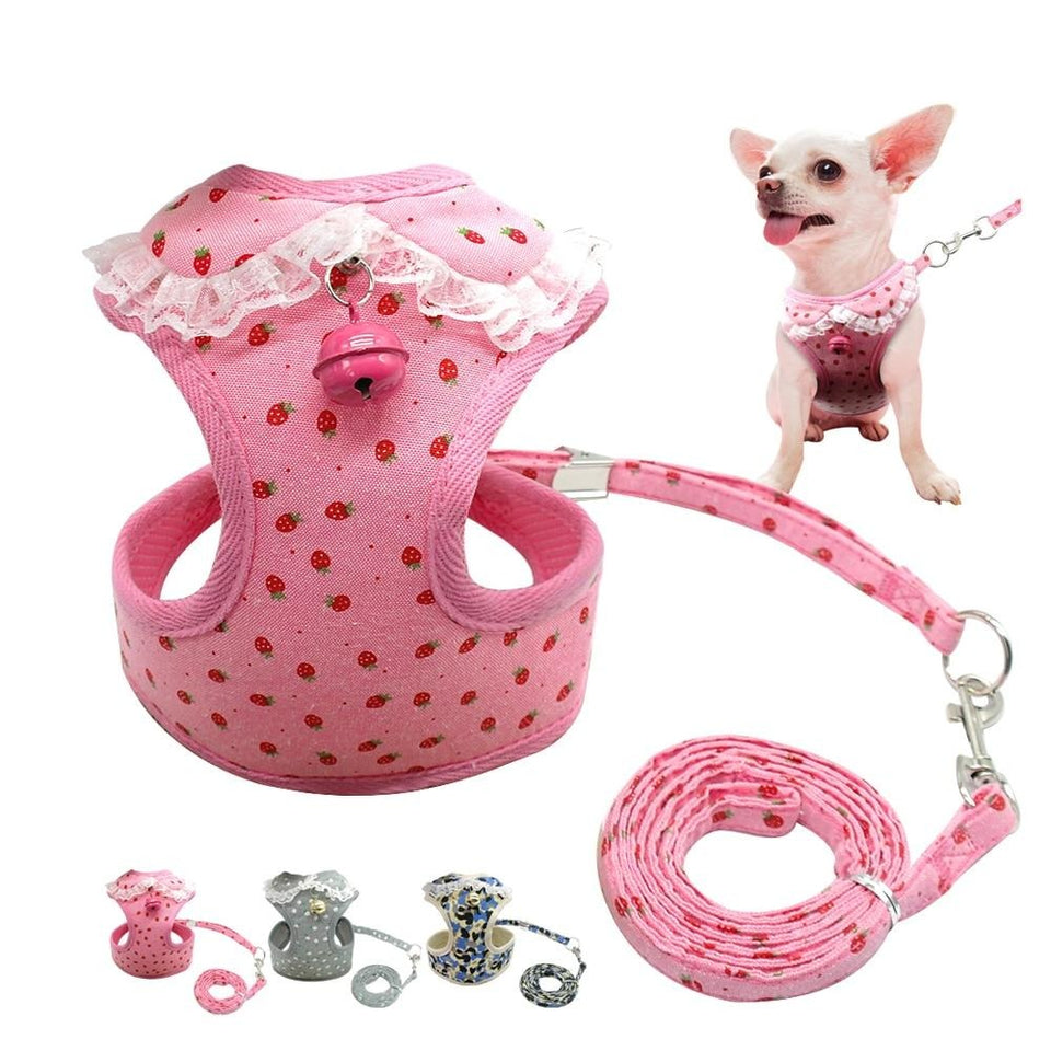 Stylish Chihuahua Harness With a Bell