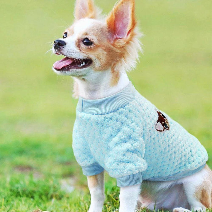 Chihuahua Casual Sweater - Chihuahua Empire