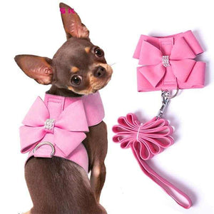 Chihuahua Empire Harness With A Bow Tie ( Leash Included ) - Chihuahua Empire
