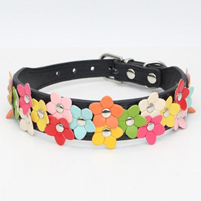 Chihuahua Flower Leather Collar