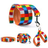 Colorful Collar Harness And Leash - Chihuahua Empire