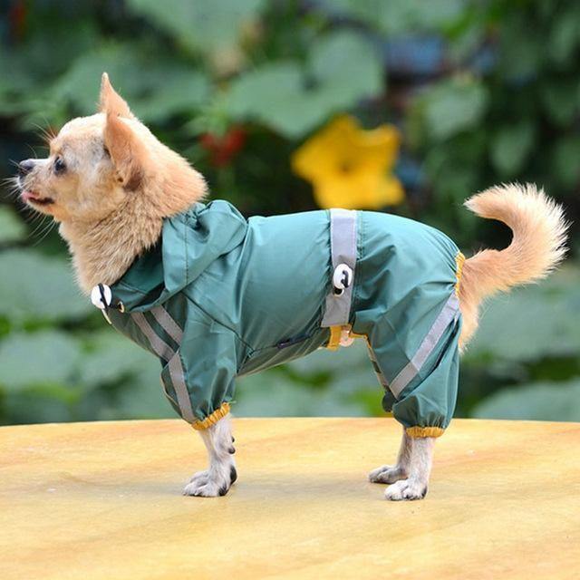 Chihuahua Empire Waterproof Raincoat - Chihuahua Empire