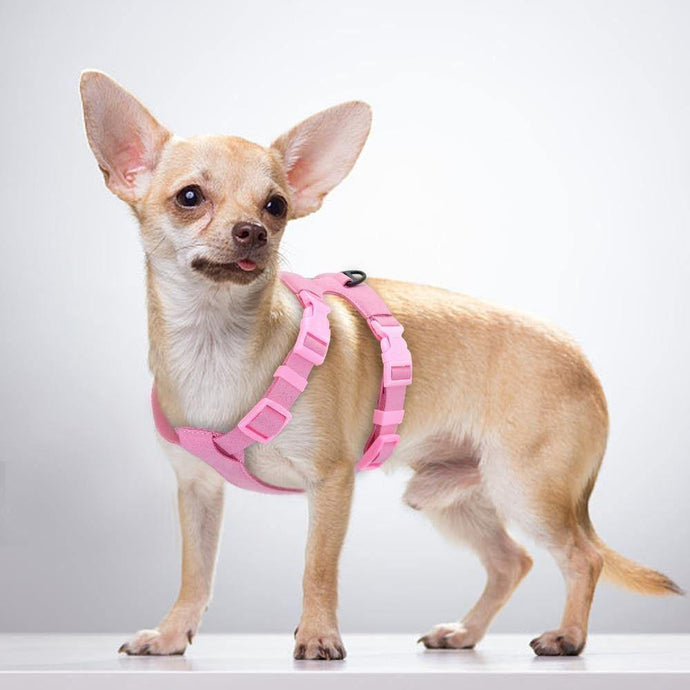 Chihuahua Classic Harness - Chihuahua Empire