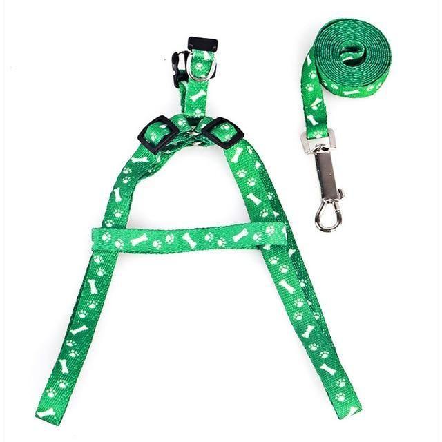 Chihuahua Harness and Leash Collection - Chihuahua Empire