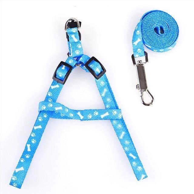 Chihuahua Harness and Leash Collection - Chihuahua Empire
