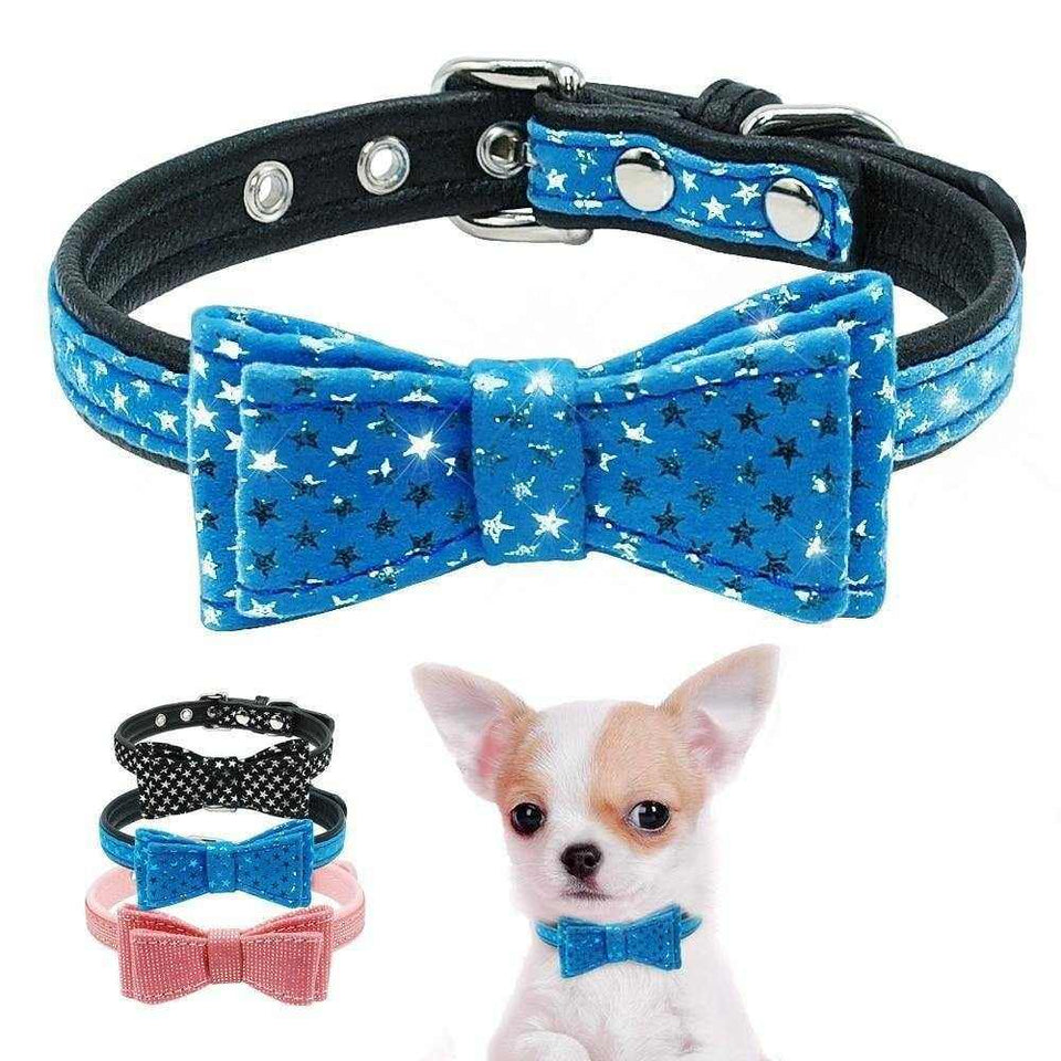 Glossy Bow Tie Dog Collar - Chihuahua Empire