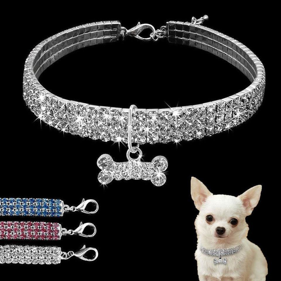 Chihuahua Diamond Collar - Chihuahua Empire