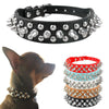 Spiked Leather Chihuahua Collar