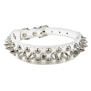 Spiked Leather Chihuahua Collar - Chihuahua Empire
