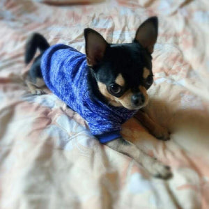 Chihuahua Classic Sweater - Chihuahua Empire
