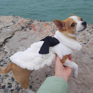 Luxury Chihuahua Winter Coat