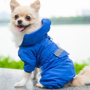 Chihuahua Waterproof Jacket