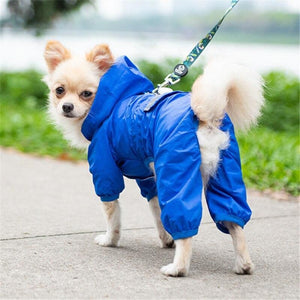 Chihuahua Waterproof Jacket - Chihuahua Empire