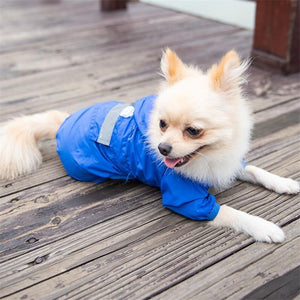 Chihuahua Waterproof Jacket - Chihuahua Empire