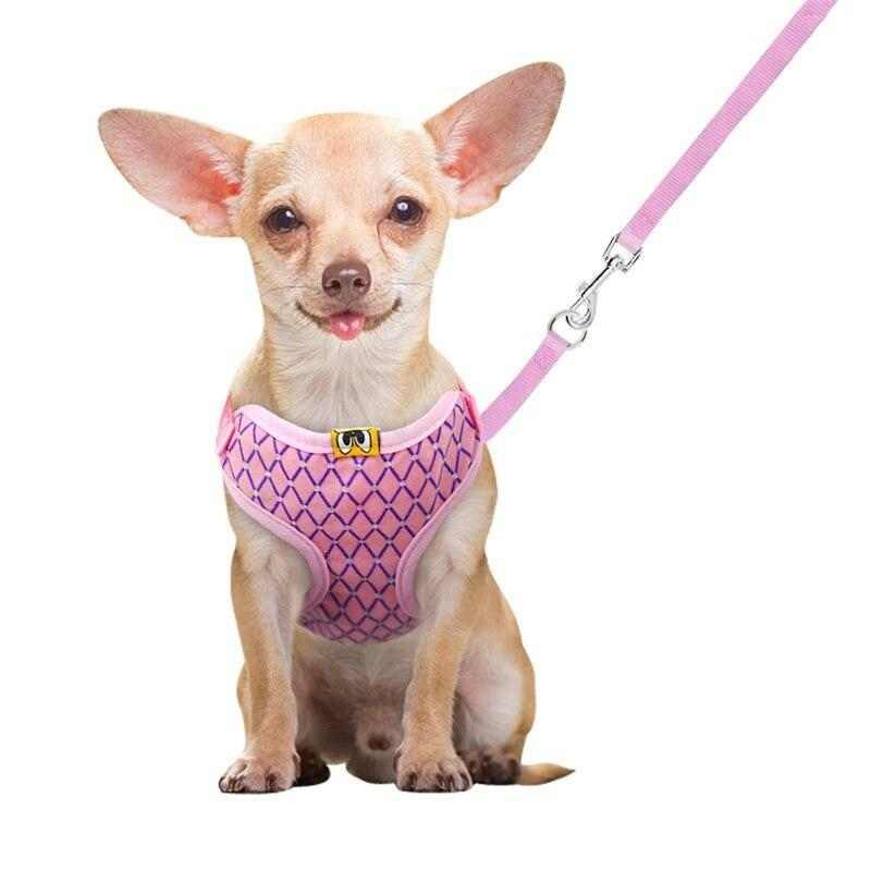 Chihuahua Harness With Diamonds - Chihuahua Empire