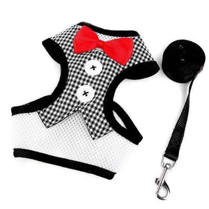Elegant Harness With a Bow Tie ( Leash Included ) - Chihuahua Empire