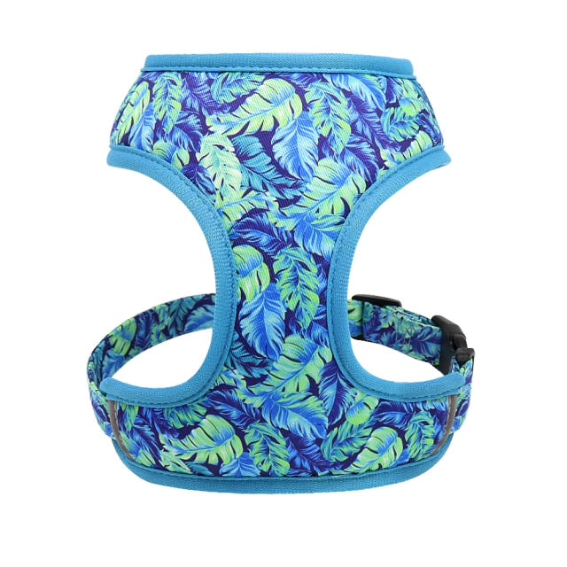 Beautiful Floral Chihuahua Harness