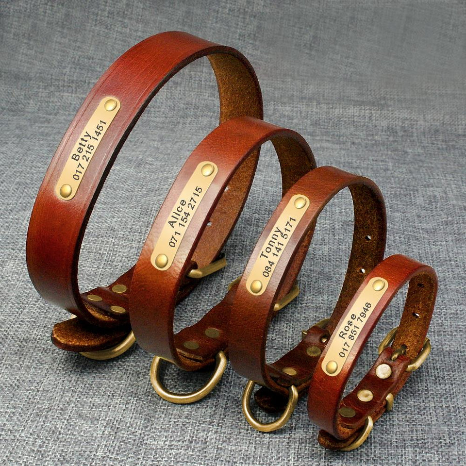 Adjustable Personalized Chihuahua Collar