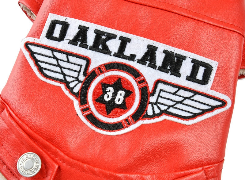 Oakland Chihuahua Jacket