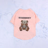 Teddy Bear Chihuahua Shirt