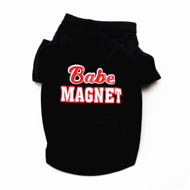 Babe Magnet Chihuahua Shirt