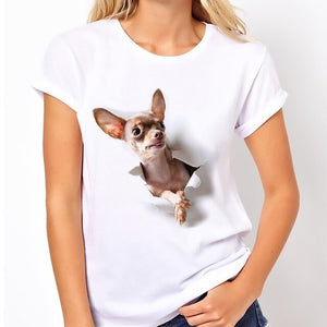 Cotton Chihuahua Woman T-Shirt