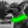 Chihuahua LED Collar - Chihuahua Empire