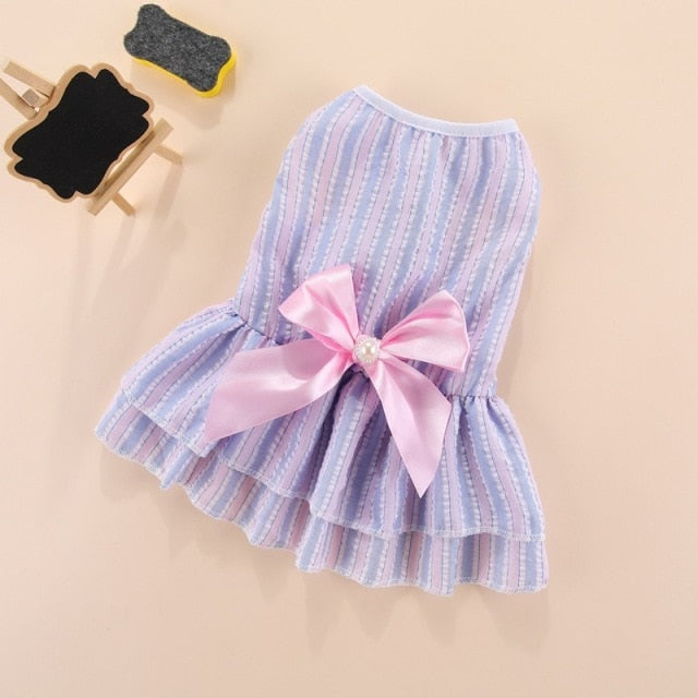 Cute Drees With A Bow Tie
