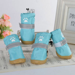 Paw Printed Chihuahua Boots