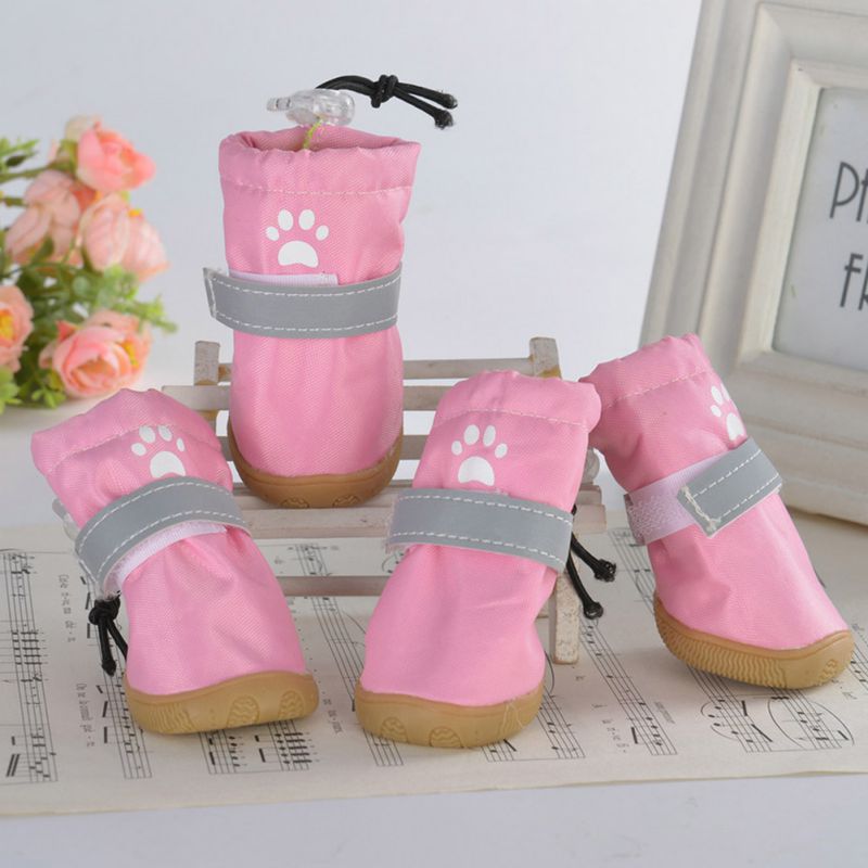 Paw Printed Chihuahua Boots