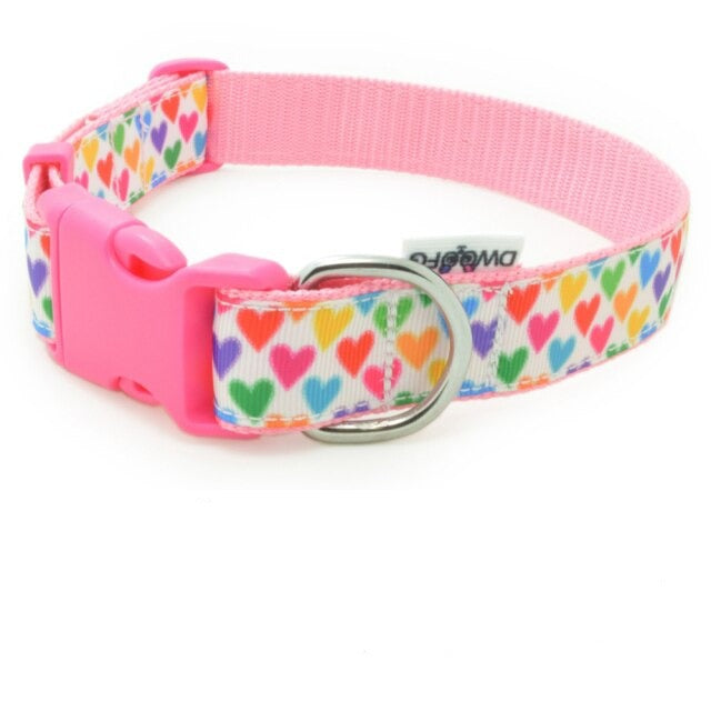 Colorful Adjustable Chihuahua Collar