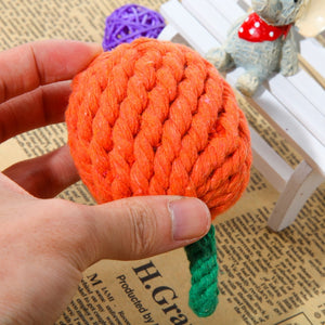Cute Orange Chewing Toy