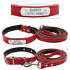 Classic Personalized Chihuahua Collar ( Leash Included )