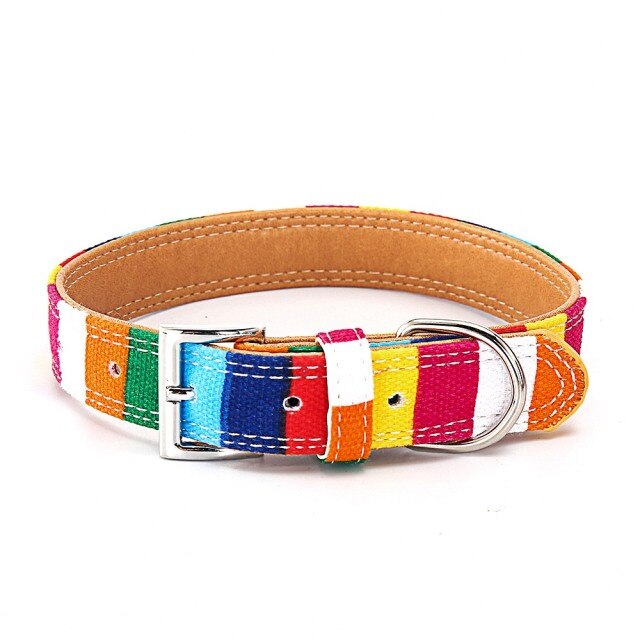 Colorful Collar Harness And Leash