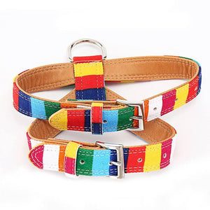 Colorful Collar Harness And Leash