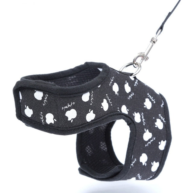 Breathable Harness And Leash Set
