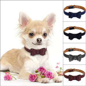 Plaid Bow Tie Chihuahua Collar - Chihuahua Empire